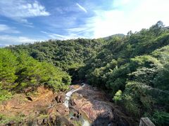 -广州白江湖森林公园