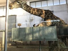 -石家庄市动物园