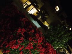 -阿布扎比沙漠皇宫酒店水疗中心