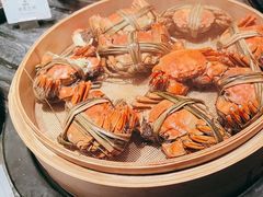 -雍容荟活波龙自助餐(IFS黑金店)