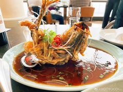 -大连君悦酒店·星海湾壹号Dalian·Dalian(星海广场店)