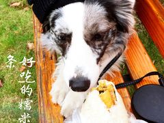 -糯米包油条(武汉大学店)