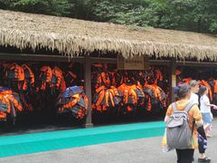 -神龙峡风景区