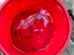 -白塘生态植物园