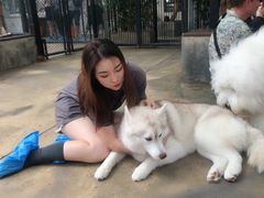 -TrueLove @ Neverland (Husky Cafe)