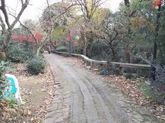 -雨花胜境