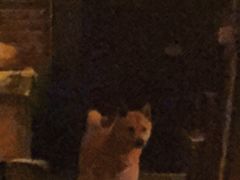 -城墙外BAR