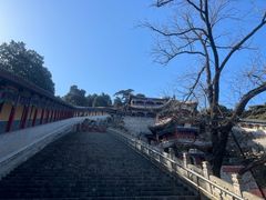 -香山公园