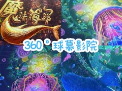 -海合安武汉极地海洋公园