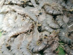 -深海壹品海鲜自助餐厅(吾悦广场店)