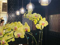 -丽晶轩中餐厅(重庆丽晶酒店)