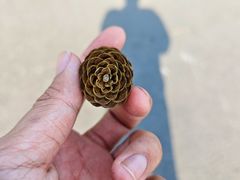 -长春公园(普阳街道)