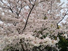 -闵行体育馆-停车场