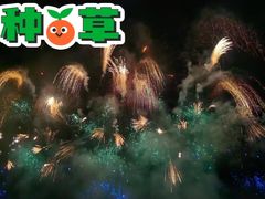 -南宁花花大世界景区