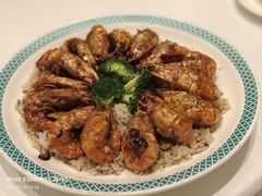 -新成海港大酒楼(康华路店)