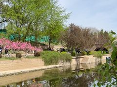 -元大都城垣遗址公园