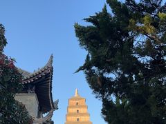 -大慈恩寺(大雁塔)