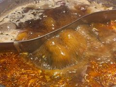 -潮牛岛·潮汕鲜切牛肉自助火锅(无锡首店)