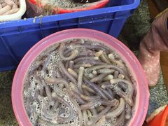 -御唐府海珊瑚主题餐厅