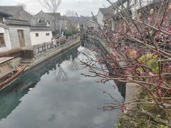 -东钱湖旅游度假区