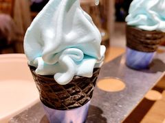 香草海盐冰激凌-小大董·烤鸭(凤凰汇店)