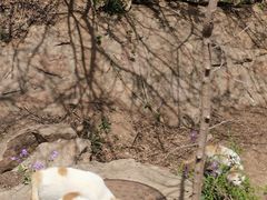 -云峰山自然风景区