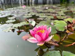 -乌镇景区