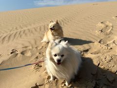 -库伦旗银沙湾旅游景区