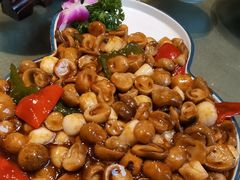 -梁溪河畔·吉府花园(南长街南下塘店)