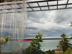 -野菌皇海景野生菌火锅(滨海大道店)