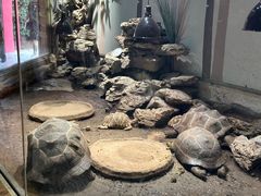 -杭州野生动物世界