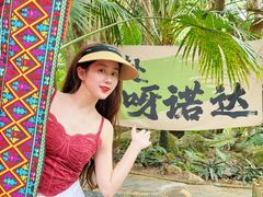 -呀诺达热带雨林