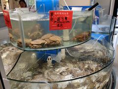 -四海蒸鲜蒸汽海鲜自助(北戴河店)