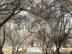 -西宁市人民公园(城西区)