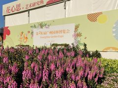 -海心沙亚运公园