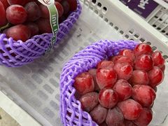 -马陆小张葡萄园农家乐