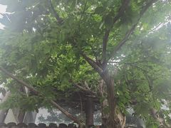 -兴福老面馆(寺路街店)