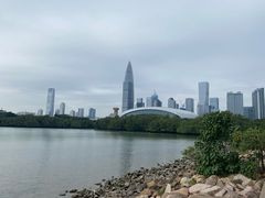 -深圳湾公园(南山区)