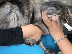 -宠颐生中康贝怡动物医院
