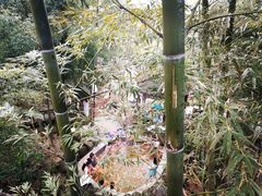 -江南天池高山汤泉城
