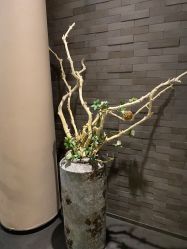 -盘子女人坊古装写真摄影(天津总店)