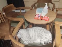 -H立方实景剧情密室(天河旗舰店)