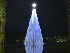 -三亚艾迪逊酒店·海滩烧烤 BARBACOA·现场乐队·浪漫晚餐·烧烤海鲜