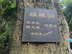 -黔灵山公园