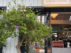 -花神·轻食简餐·咖啡馆·花卉绿植(荷兰花卉小镇店)