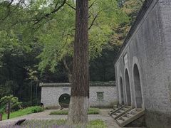 -镇江市南山风景名胜区竹林景区