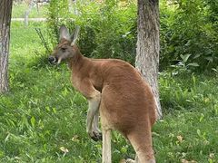 -水上乐园·欢乐世界