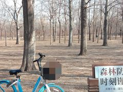 -老君堂公园