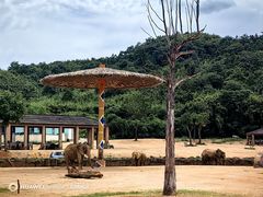 -杭州野生动物世界