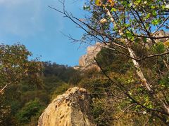 -白草畔自然风景区